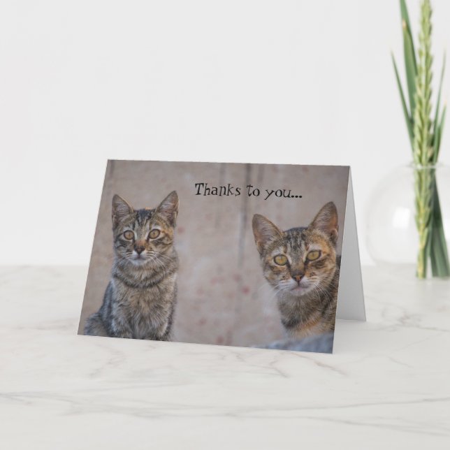 Tarjeta de agradecimiento a Kitty Lover (Anverso)
