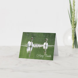 Tarjeta de agradecimiento a la familia Swan