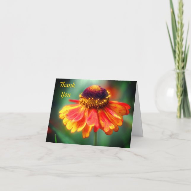 Tarjeta de agradecimiento a la flor de zinnia amar (Anverso)