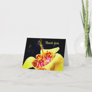 Tarjeta de agradecimiento a la flor Lily con manch