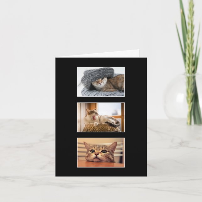 Tarjeta de agradecimiento a la foto del gato de tr (Anverso)
