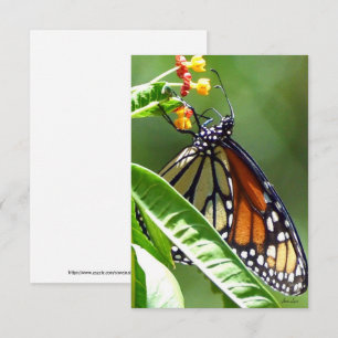 Tarjeta de agradecimiento a la mariposa monarca