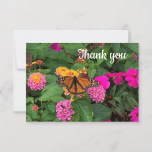 Tarjeta de agradecimiento a la mariposa monarca y
