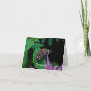 Tarjeta de agradecimiento a la mariposa vista