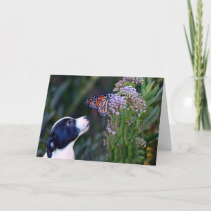 Tarjeta de agradecimiento a la mariposa y al cacho