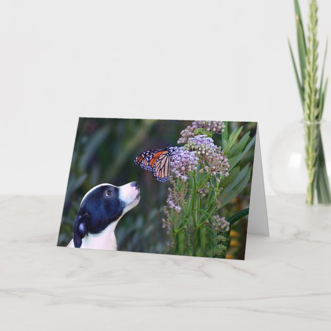 Tarjeta de agradecimiento a la mariposa y al cacho (Anverso)