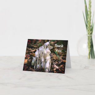 Tarjeta de agradecimiento a la naturaleza de las f