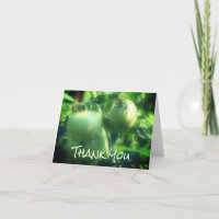 Tarjeta de agradecimiento a la naturaleza de los t