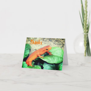 Tarjeta de agradecimiento a la naturaleza del sala