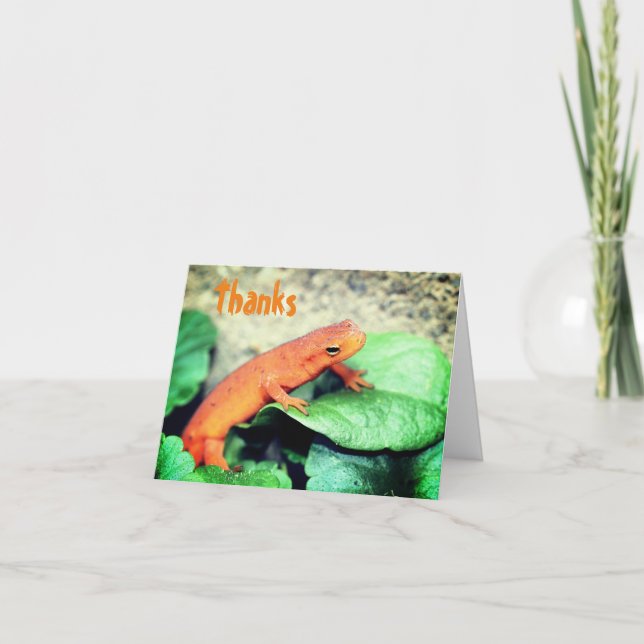 Tarjeta de agradecimiento a la naturaleza del sala (Anverso)