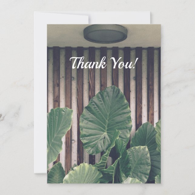 Tarjeta de agradecimiento a la planta verde de lea (Anverso)