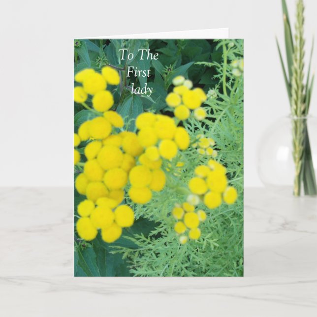 Tarjeta De Agradecimiento A la Primera Dama (Anverso)