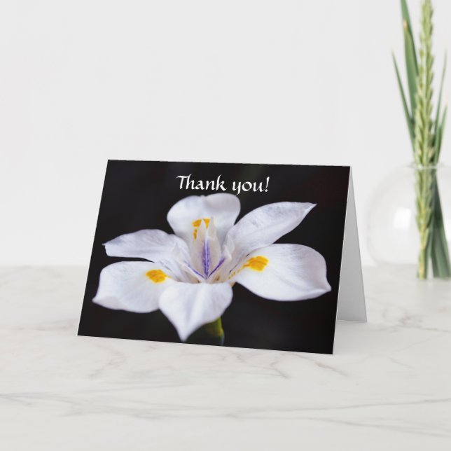 Tarjeta de agradecimiento a las flores de fe de Ir (Anverso)