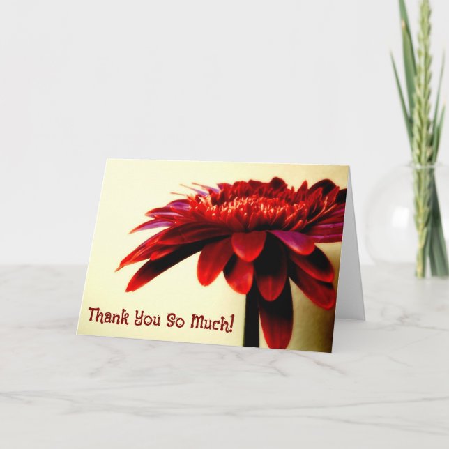 Tarjeta de agradecimiento a las Flores Red Gerbera (Anverso)