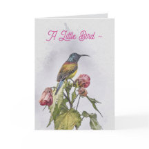 A LITTLE BIRD GET WELL CARD