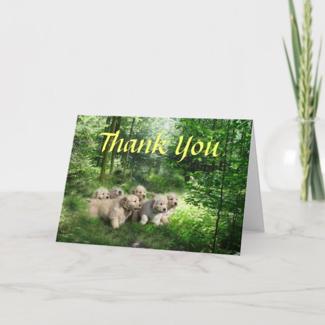 Tarjeta de agradecimiento a los Cachorros de Golde (Anverso)