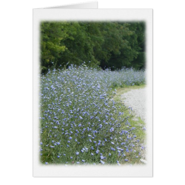 Tarjeta de agradecimiento a los florines de flores (Frente)