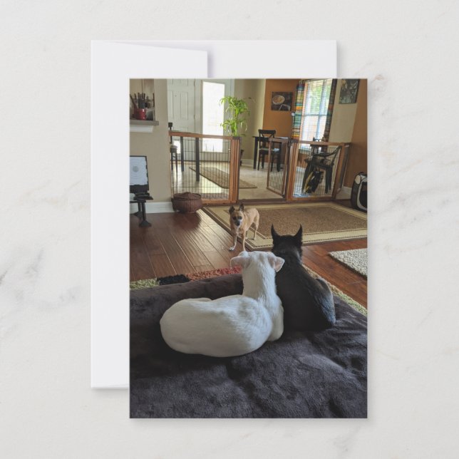 Tarjeta de agradecimiento a los perros de rescate  (Anverso)