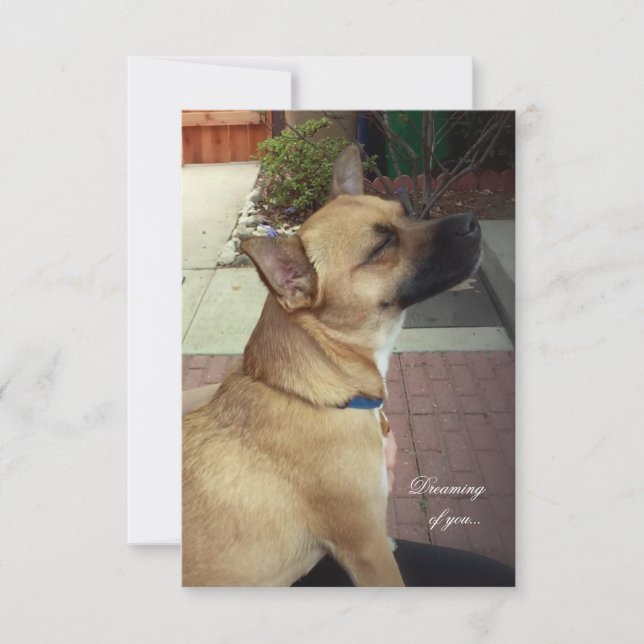 Tarjeta de agradecimiento a los perros de rescate  (Anverso)