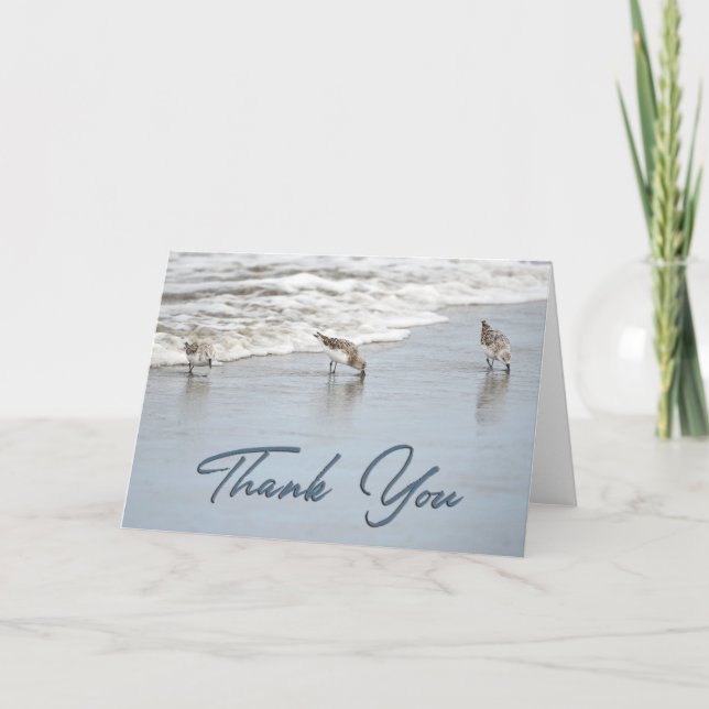 Tarjeta de agradecimiento a los sandpipers en la S (Anverso)