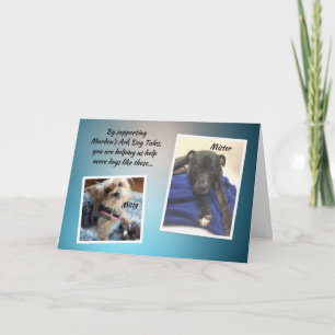 Tarjeta de agradecimiento a Mardens Ark Mister y M