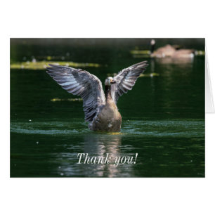 Tarjeta de agradecimiento a Old Goose Wing Action