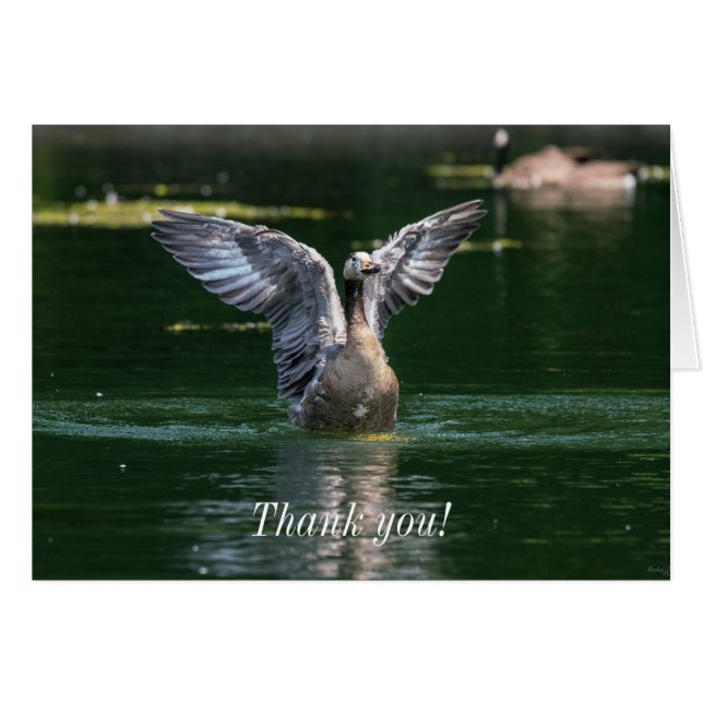 Tarjeta de agradecimiento a Old Goose Wing Action (Anverso (Horizontal))