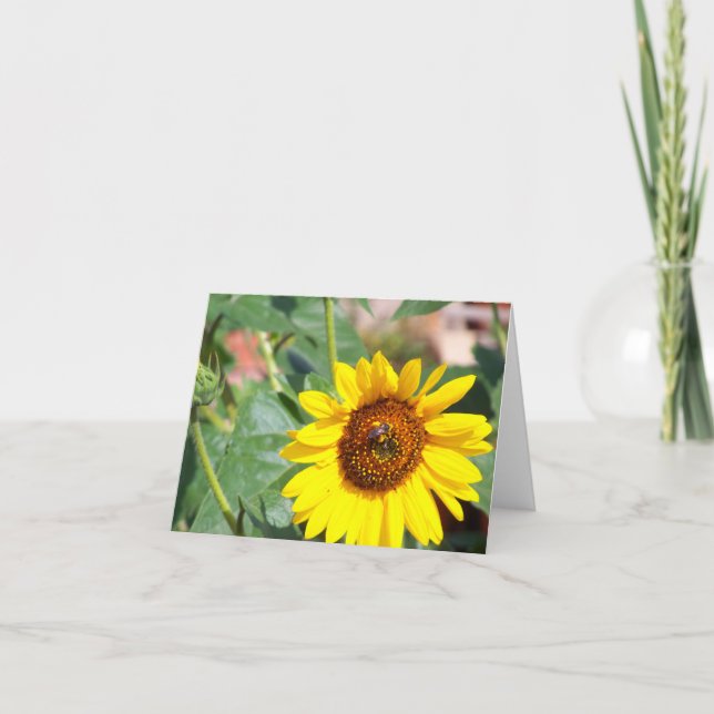 Tarjeta de agradecimiento a Prairie Sunflower (Anverso)