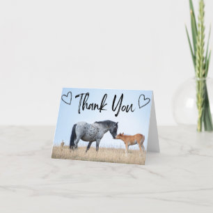 Tarjeta de agradecimiento a Pryor Mountain Wilse H