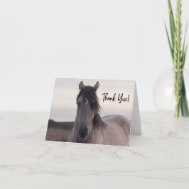 Tarjeta de agradecimiento a Pryor Mountain Wilse H