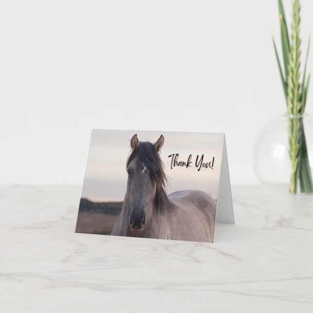 Tarjeta de agradecimiento a Pryor Mountain Wilse H (Anverso)