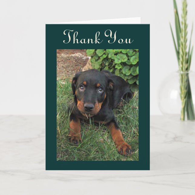 Tarjeta de agradecimiento a Rottweiler Puppy (Anverso)