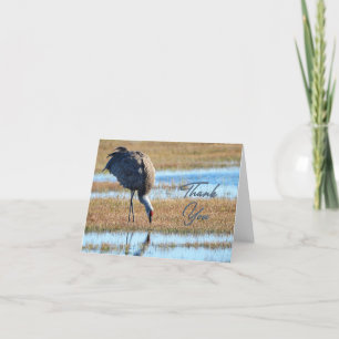 Tarjeta de agradecimiento a Sandhill Crane