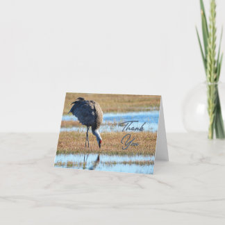 Tarjeta de agradecimiento a Sandhill Crane