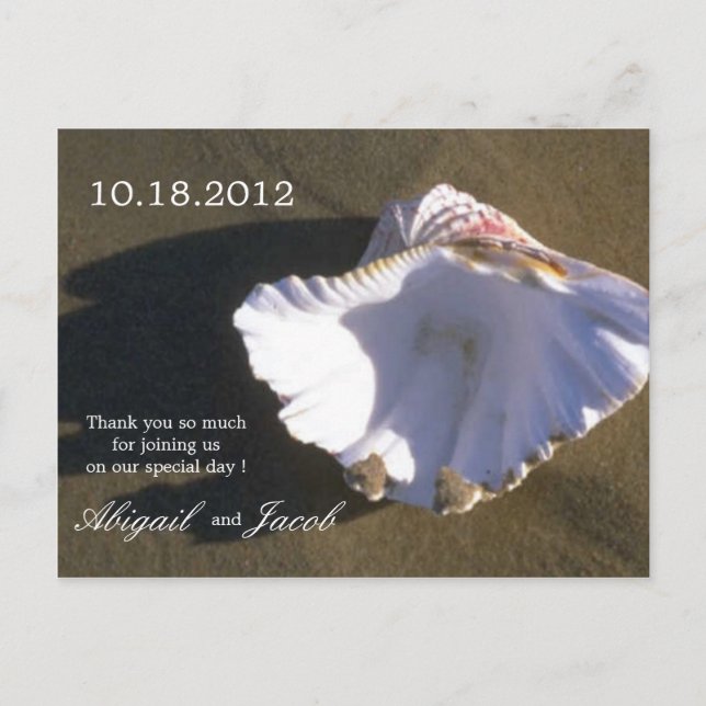 Tarjeta de agradecimiento a Sea Shell Brown Boda (Anverso)