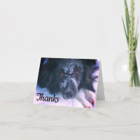 Tarjeta de agradecimiento a Snowy Facer Border Col