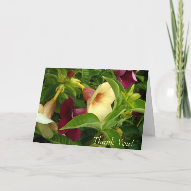 Tarjeta de agradecimiento a Trumpet de oro (Anverso)