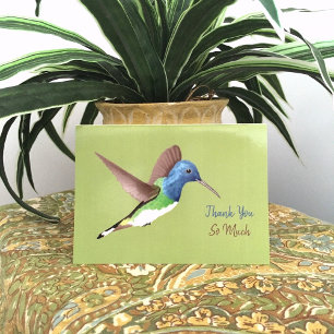 Tarjeta De Agradecimiento Abandonar a Jacobin Hummingbird - transparente.