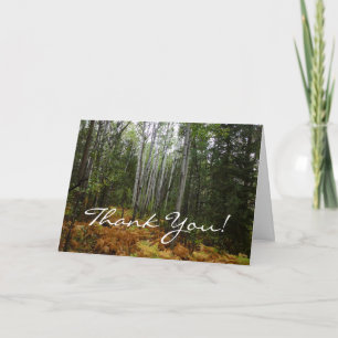 Tarjeta De Agradecimiento Abedules y Helechos de Otoño en Rocky Mountain