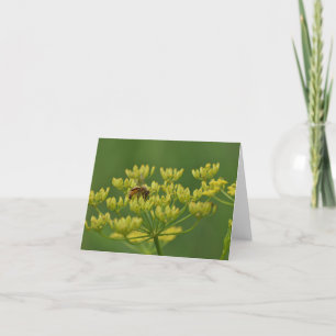 Tarjeta De Agradecimiento Abeja en blanco de parrilladas silvestres dentro d