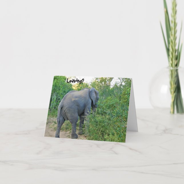 Tarjeta De Agradecimiento Adiós, Elephant Card de Sudáfrica (Anverso)