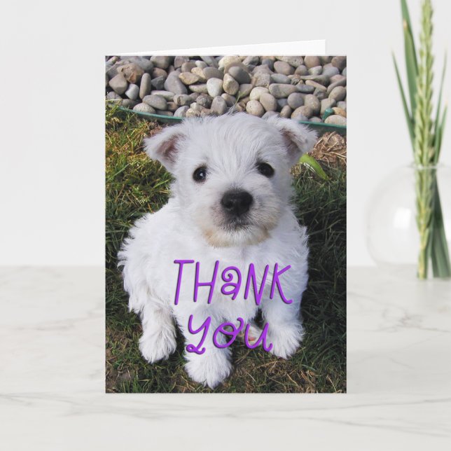 Tarjeta De Agradecimiento Adorable Westie Puppy Photo (Anverso)