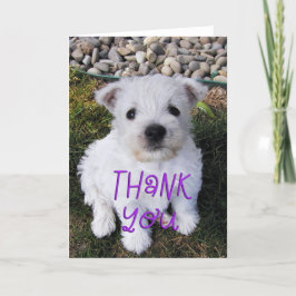 Tarjeta De Agradecimiento Adorable Westie Puppy Photo