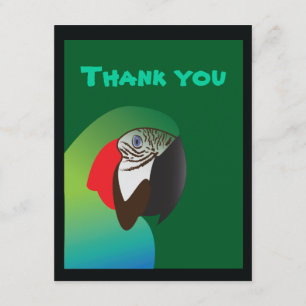 Tarjeta De Agradecimiento agradecimientos de loro