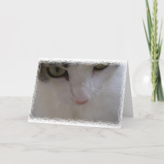 Tarjeta De Agradecimiento Agradezca maúllan