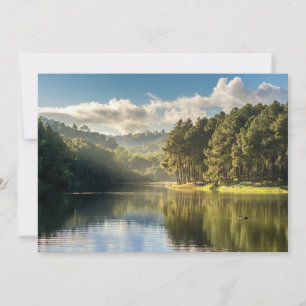 Tarjeta De Agradecimiento Agua   Pang Oung Lake & Pine Forest Tailandia
