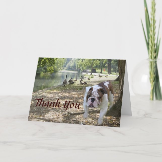 Tarjeta de agradecimiento al bulldog (Anverso)