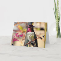 Tarjeta de agradecimiento al colibrí de Anna Rosad