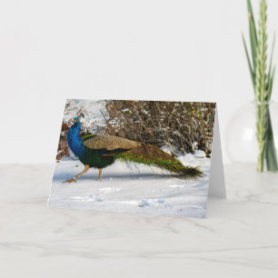 Tarjeta de agradecimiento al invierno pavo real de