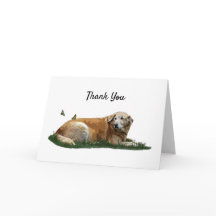 Tarjeta de agradecimiento al perro de raza mixta L